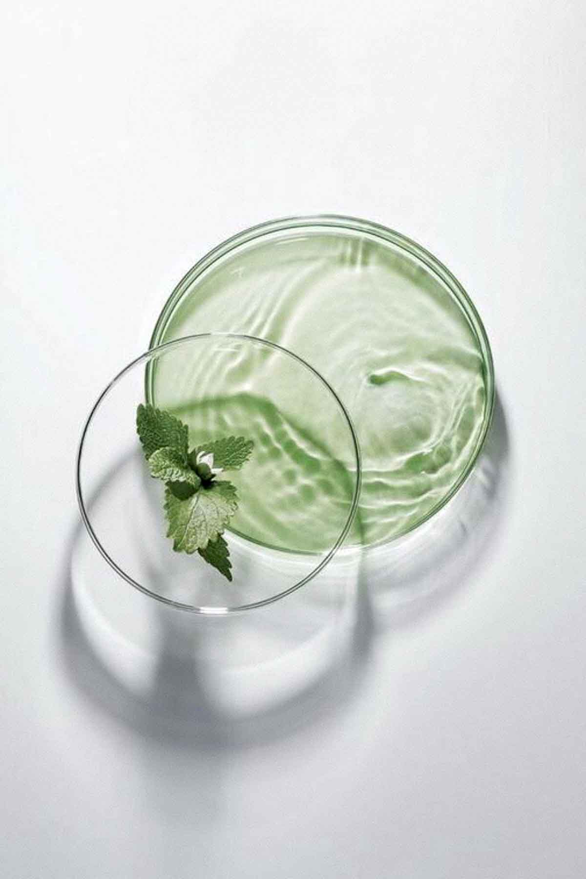 image of natural ingredients mixed into an organic compound in a chemical glass