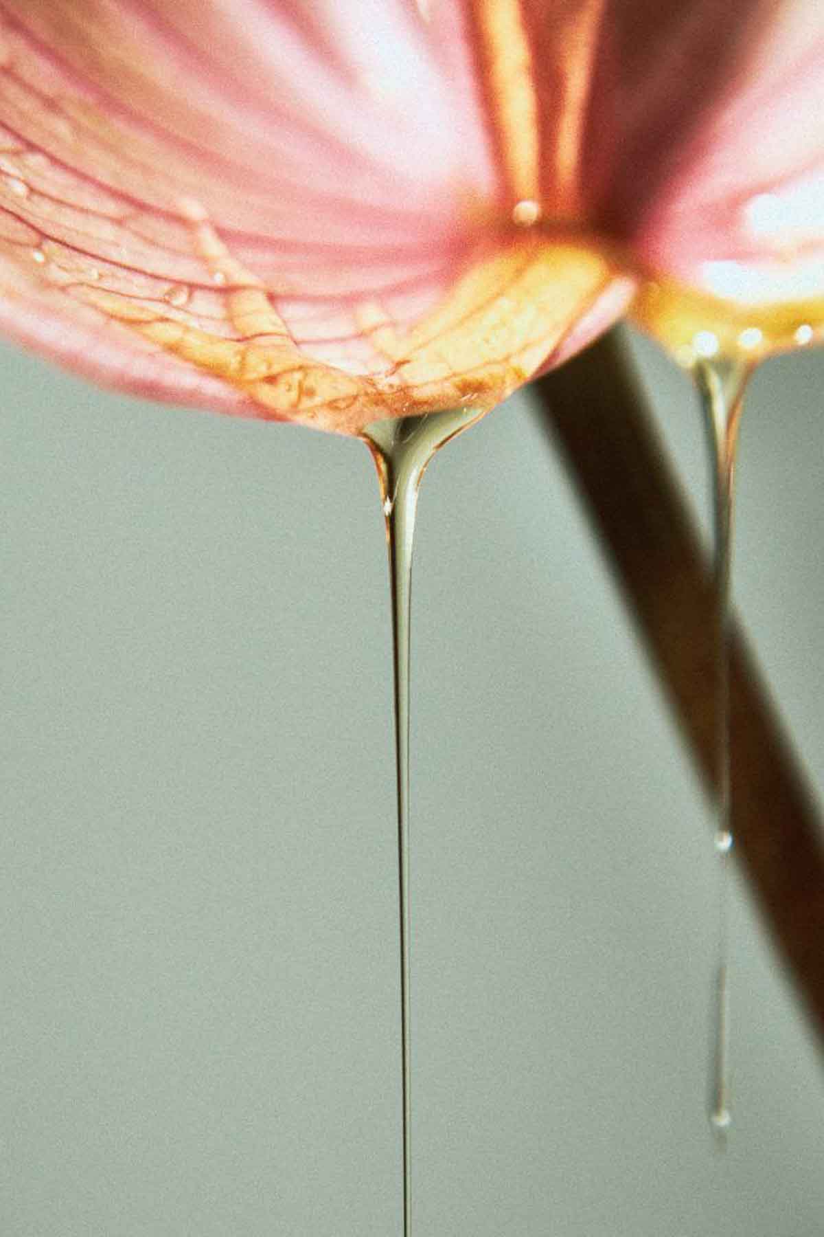 image of a flower dripping oil