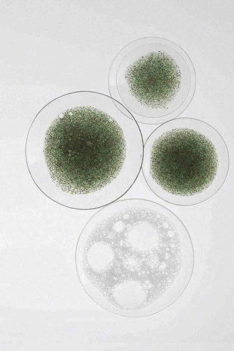 decorative image representing the science behind acne