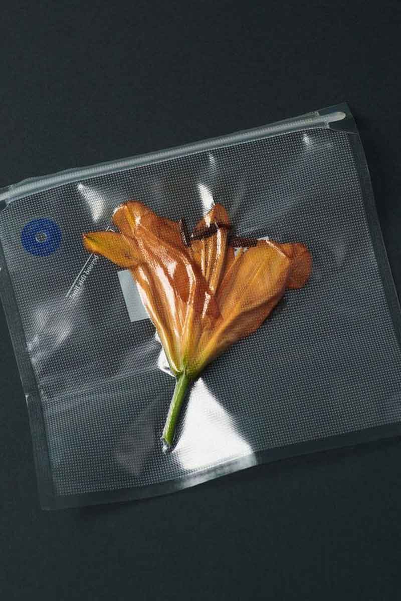 image showing a flower squeezed in a plastic bag as a symbol of the environmental impact of toxic skincare