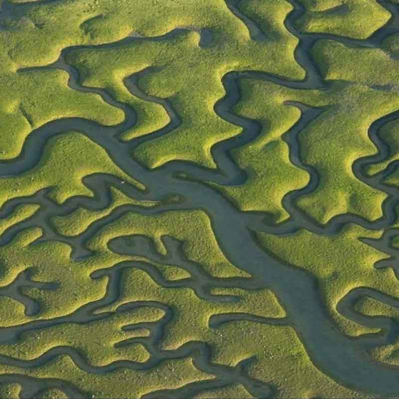 Decorative picture showing the fjords of greenland