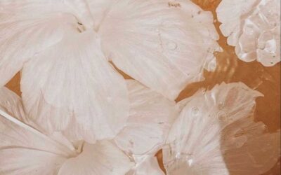 The Environmental Impact of Non-Toxic Skincare