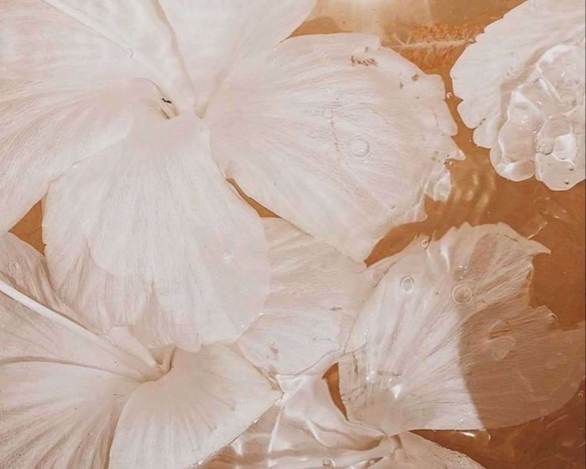 Cover image of the article The Environmental Impact of Non-Toxic Skincare showing a decorative floral element