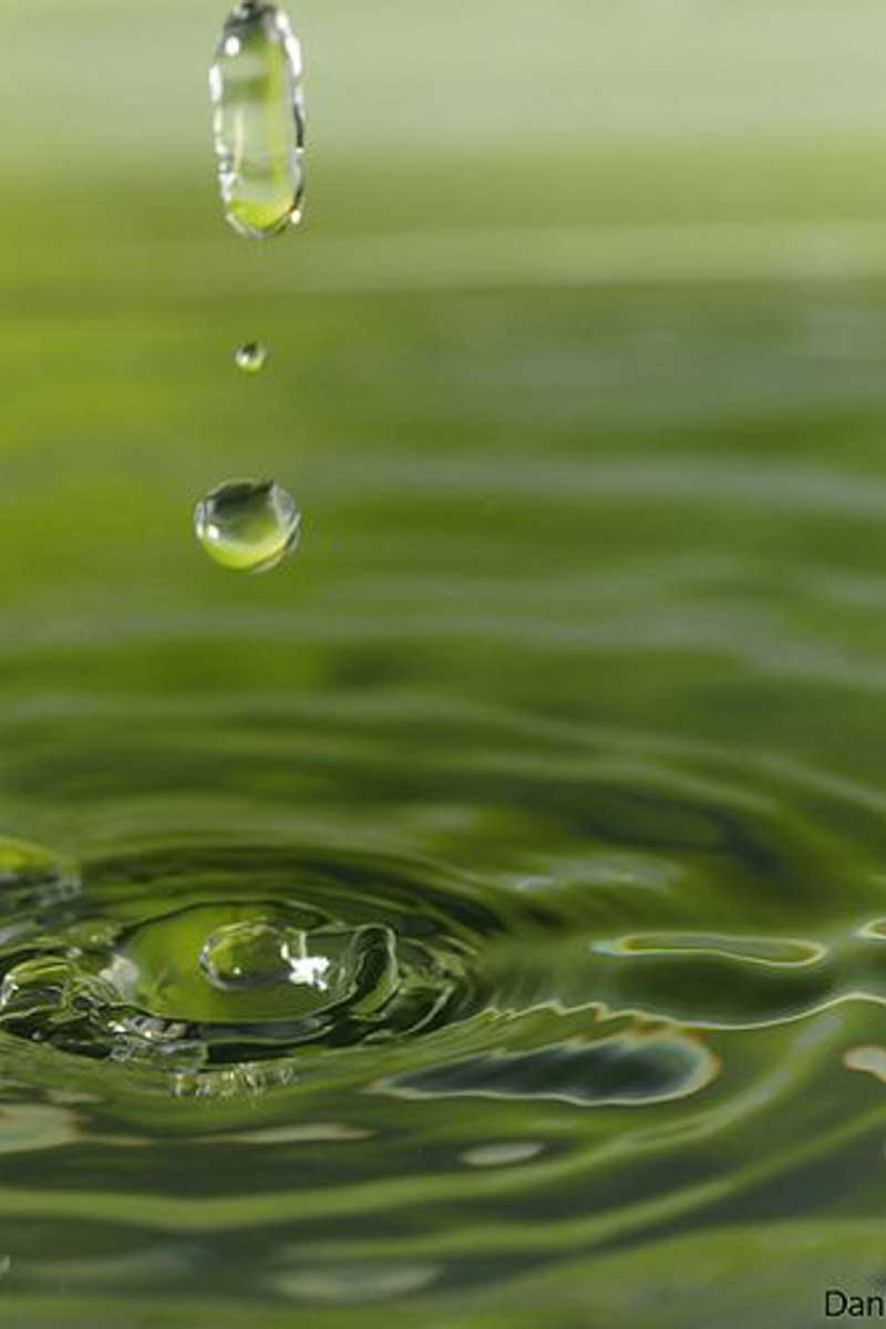 decorative image showing drops of water in the nature