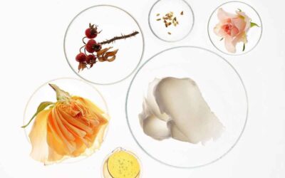 Non Toxic Skincare for Acne Prone Skin: What to Look For