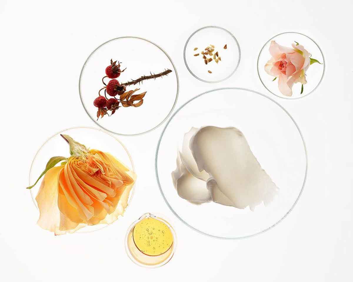 Cover image for the article Non-Toxic Skincare for Acne-Prone Skin: What to Look For showing several natural ingredients against acne