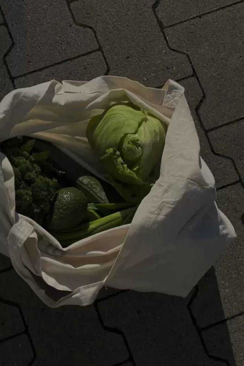 decorative picture of a cabbage to symbolize nutrition amongst the causes of melasma<br />
