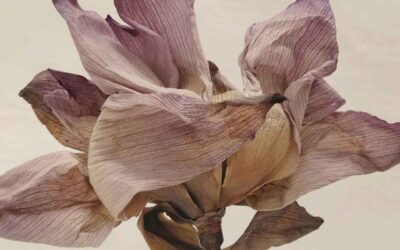 How to Incorporate Non-Toxic Skincare into Your Daily Routine