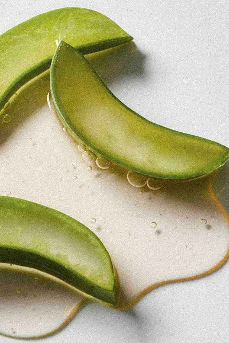 decorative picture showing one type of superfood