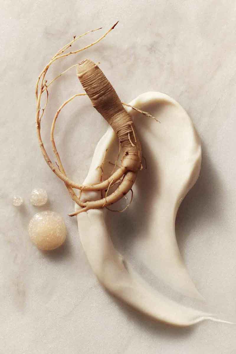 Decorativa picture showing natural ingredients