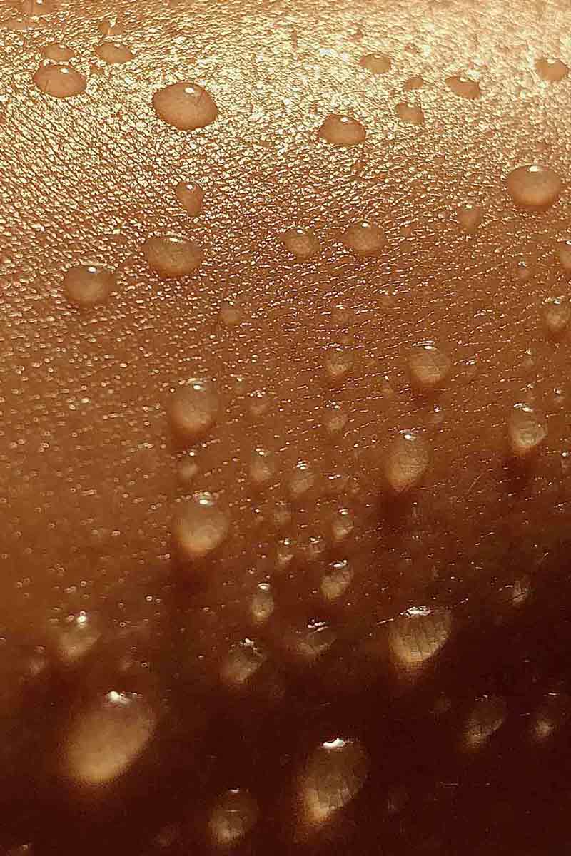 texture of a close up shot of human skin with fine lines and wrinkles
