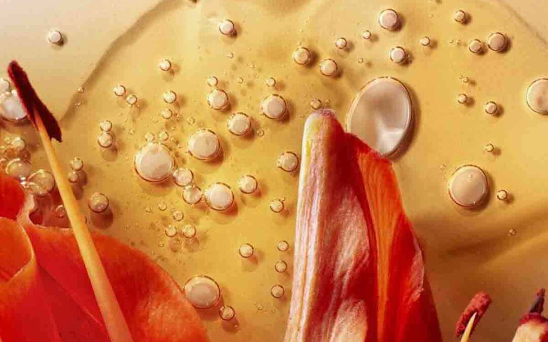 Cover image for the article The Top 5 Ingredients to Look for in Skincare Products for Dry Skin