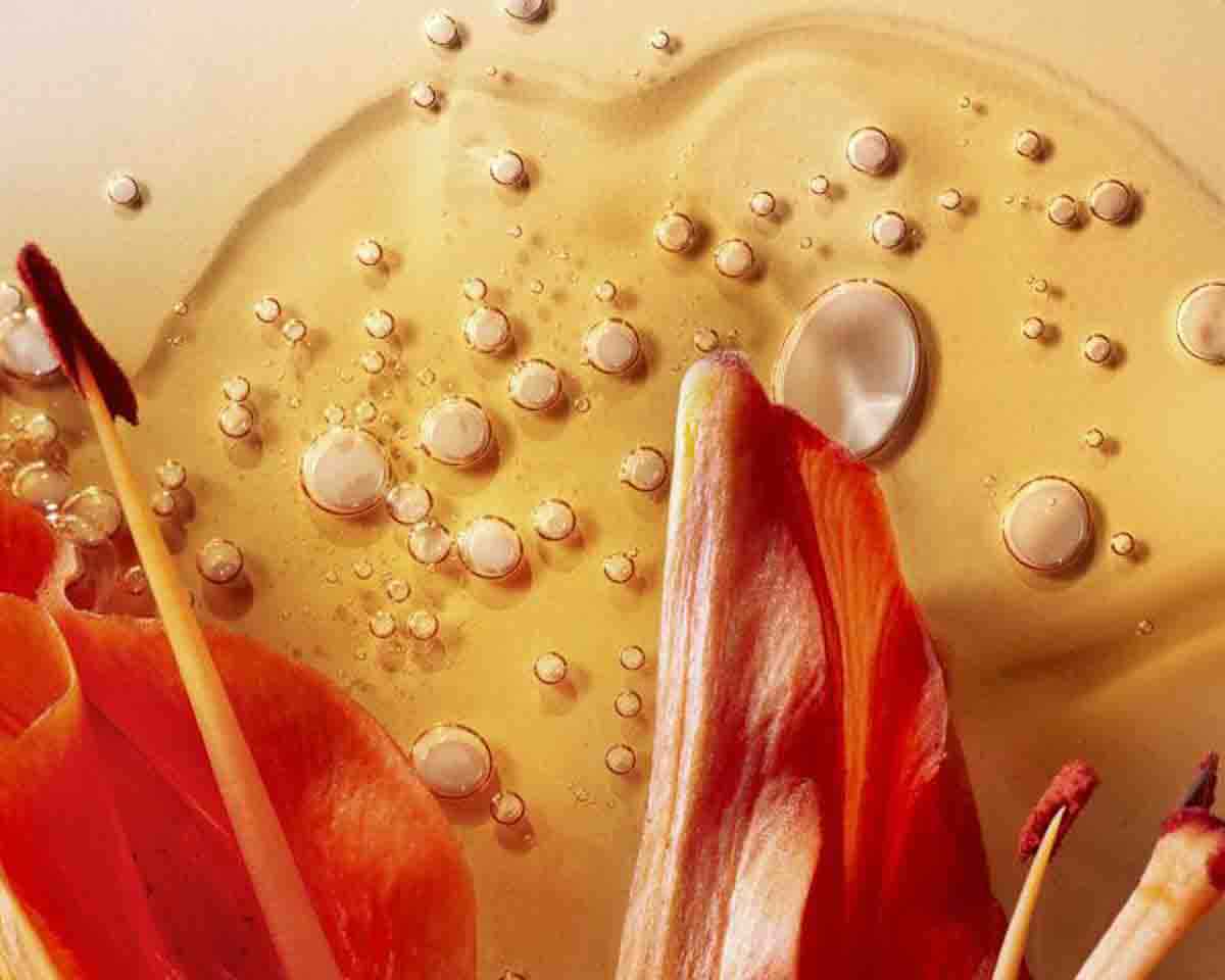 Cover image for the article The Top 5 Ingredients to Look for in Skincare Products for Dry Skin