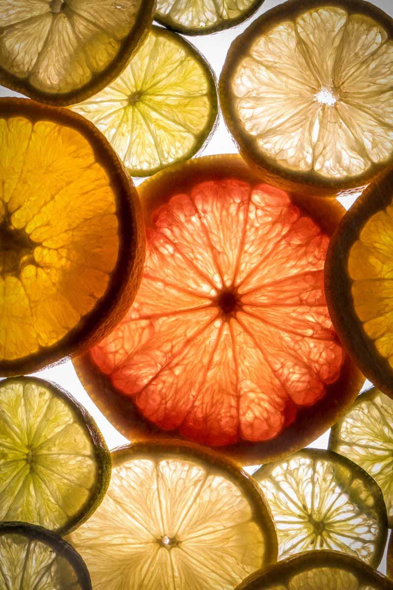 Close up of grapefruit slices backlit in studio photography