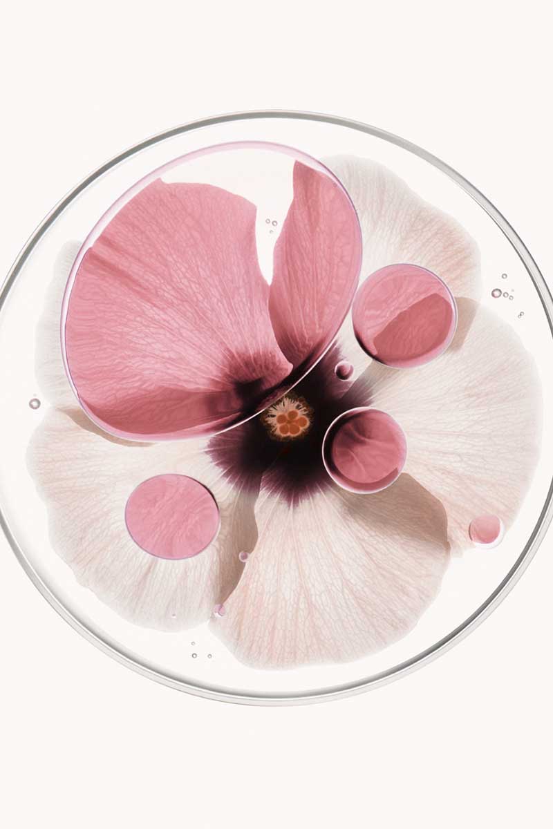 decorative image of flowers used as natural ingredients in weekly skincare routines